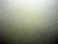 Image of seabed - photo.