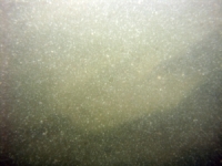 Image of seabed - photo.