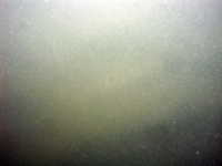 Image of seabed - photo.