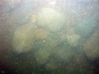 Image of seabed - photo.