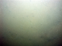 Image of seabed - photo.