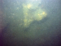 Image of seabed - photo.