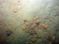 Image of seabed - photo.