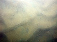 Image of seabed - photo.