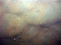 Image of seabed - photo.