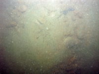 Image of seabed - photo.