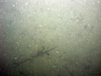 Image of seabed - photo.