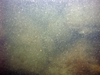 Image of seabed - photo.