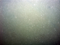 Image of seabed - photo.