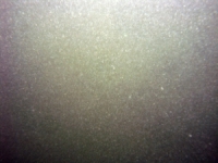 Image of seabed - photo.