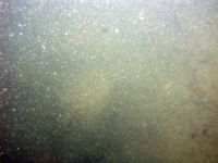 Image of seabed - photo.