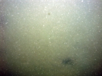 Image of seabed - photo.