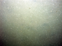 Image of seabed - photo.