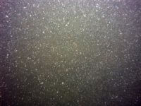 Image of seabed - photo.