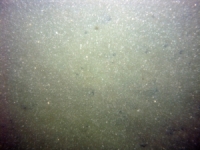 Image of seabed - photo.