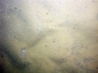 Image of seabed - photo.