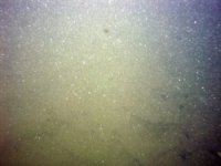 Image of seabed - photo.