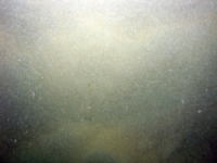 Image of seabed - photo.