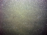 Image of seabed - photo.