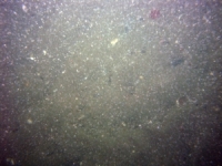 Image of seabed - photo.