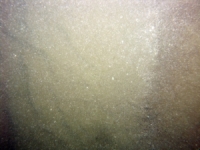 Image of seabed - photo.