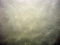 Image of seabed - photo.