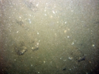 Image of seabed - photo.