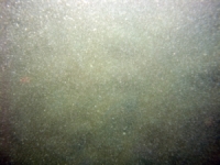 Image of seabed - photo.