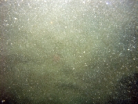 Image of seabed - photo.