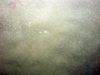 Image of seabed - photo.