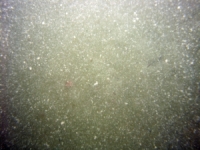 Image of seabed - photo.