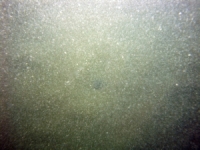 Image of seabed - photo.