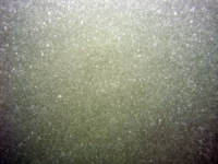 Image of seabed - photo.