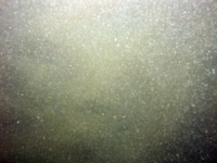 Image of seabed - photo.