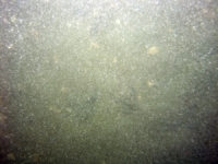 Image of seabed - photo.