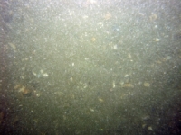 Image of seabed - photo.