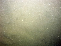 Image of seabed - photo.