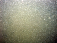 Image of seabed - photo.