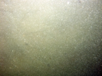 Image of seabed - photo.