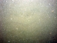 Image of seabed - photo.