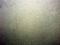 Image of seabed - photo.