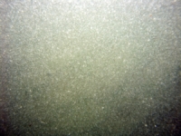 Image of seabed - photo.