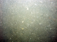 Image of seabed - photo.