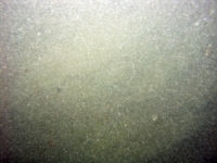 Image of seabed - photo.