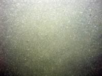 Image of seabed - photo.