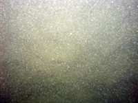 Image of seabed - photo.