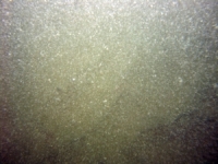 Image of seabed - photo.