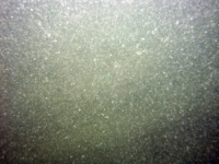 Image of seabed - photo.