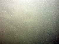 Image of seabed - photo.