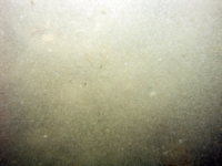 Image of seabed - photo.